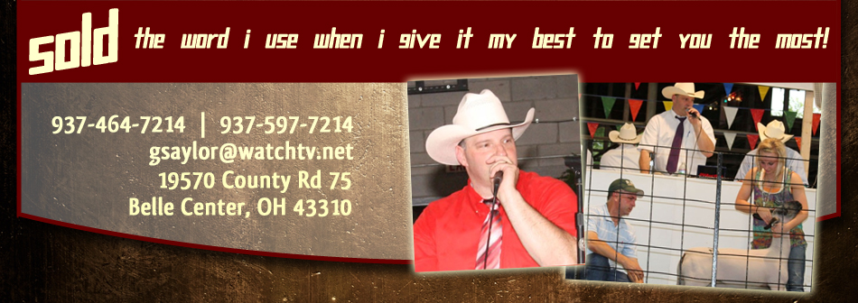 Saylor Auction Services